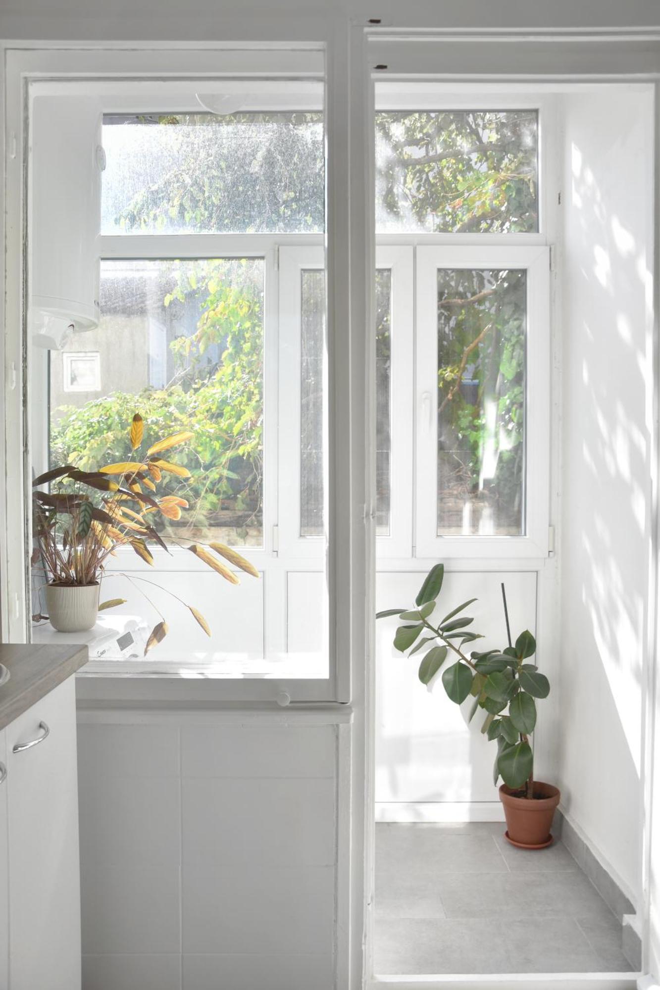 Pannonian Sailor Apartment โนวีซาด ภายนอก รูปภาพ